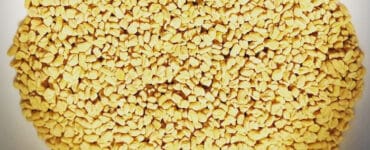 Fenugreek for Breastfeeding